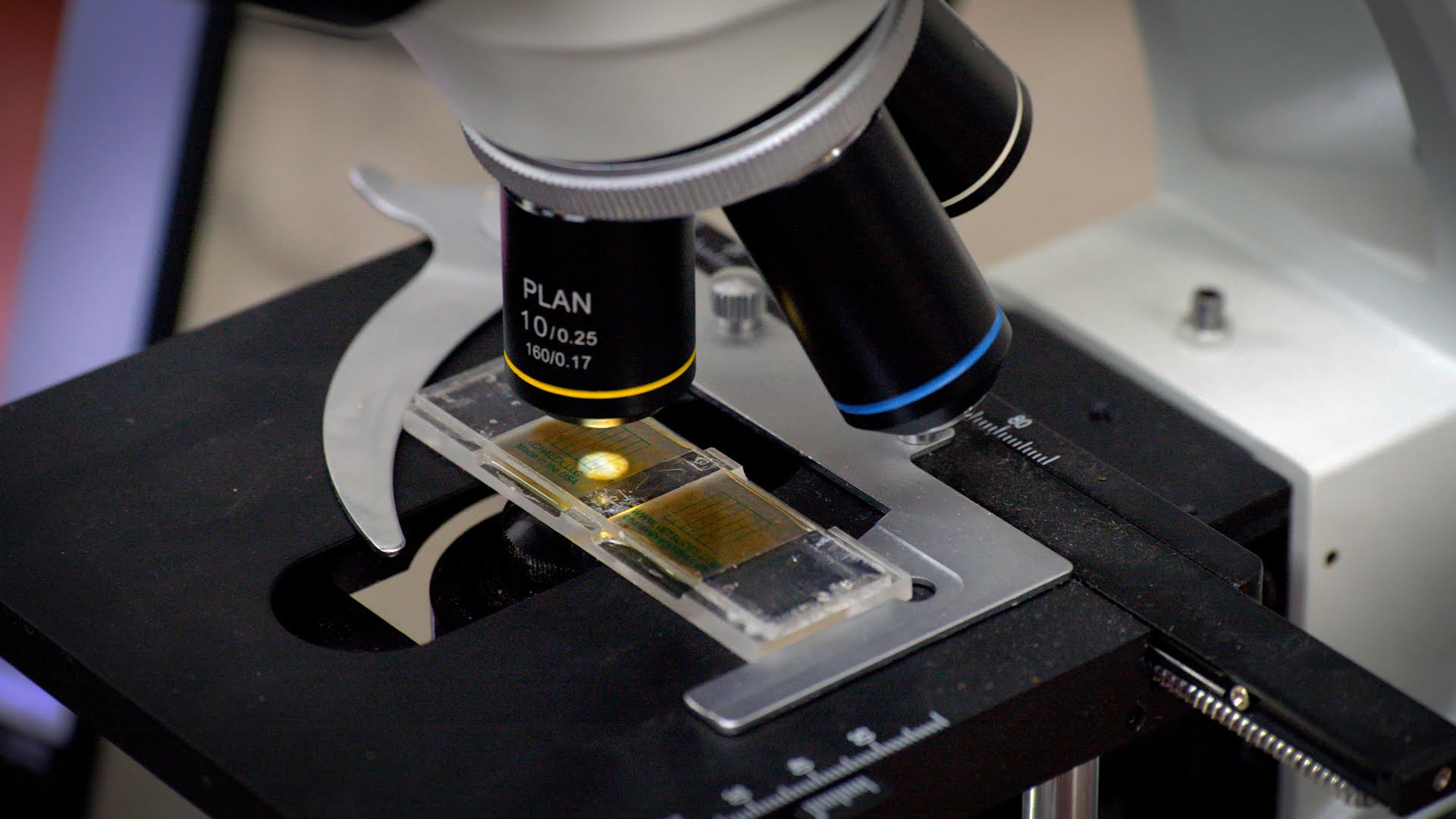 At-home fecal flotation McMaster counting slide loaded with sample under a compound microscope at 10x objective for backyard poultry parasite screening.