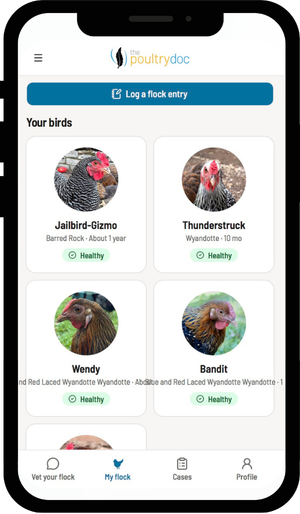 Flock setup screen